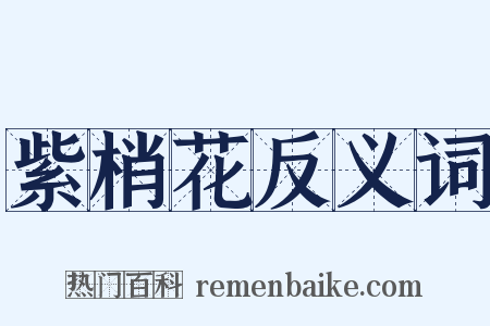 紫梢花反义词是什么意思的图片